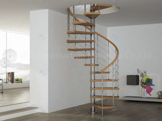 Escalier incurvé par limon d'acier inoxydable de style élégant utilisé la bande de roulement d'escalier de chêne d'escaliers en colimaçon