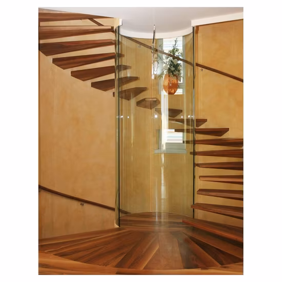 Escalier incurvé par limon d'acier inoxydable de style élégant utilisé la bande de roulement d'escalier de chêne d'escaliers en colimaçon